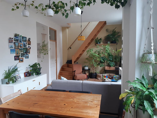 Deze centraal gelegen woning (vlakbij het kasteel Gravensteen) zijn 2 voormalige Ghent, Belgium Ruime en gezellige Citéwoning met terras in Gent Entire home vacation rental 566412442516571609