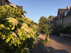 Authenticism. Kartoffelrækkerne is world famous for its unique history, charm an Copenhagen, Denmark Town house in best area, 200sqm, private garden Entire townhouse vacation rental 21760578