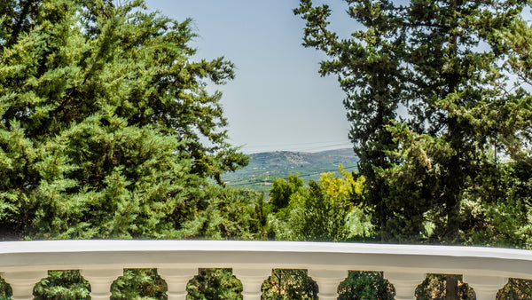 Almost in the heart of Crete island and surrounding from endless fields and tree  Villa Odysseus Entire villa vacation rental 658316719287599493