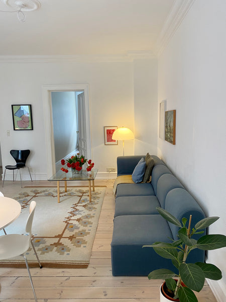 Spacious apartment with high ceilings for the couple or the family with one kid. Copenhagen, Denmark Spacious apartment in Stefansgade neighborhood Entire condo vacation rental 49821798