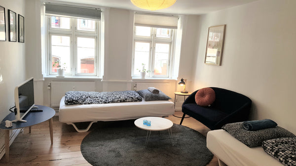 In the HEART OF HISTORIC COPENHAGEN - 100% Guaranteed!<br />Is location importan Copenhagen, Denmark ★UNIQUE TOURIST SPOT, CITY CENTER 100% Guaranteed! Entire rental unit vacation rental 22094240