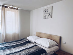 Very cozy studio within walking distance from the center of Prague (about 5-7 mi Prague, Czechia Lovely Apartment Happy Days in the Centre Entire rental unit vacation rental 654102813108977656