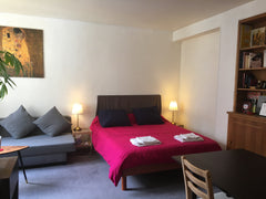 Grand studio (30m2) proche de la Tour Eiffel, du Trocadéro, du centre Beaugrenel Paris, France Grand studio 30m2 proche Tour Eiffel / 323ft2 Private room in rental unit vacation rental 16426860