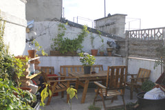 Plants, colors and cosiness, that's our flat!<br />Our new built apartment has a Vienna, Austria SUNNY ROOM IN SHARED FLAT WITH ROOFTOP GARDEN Private room in loft vacation rental 24818190