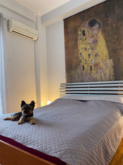  Voula, Greece Apartment near metro Entire rental unit vacation rental 49811554
