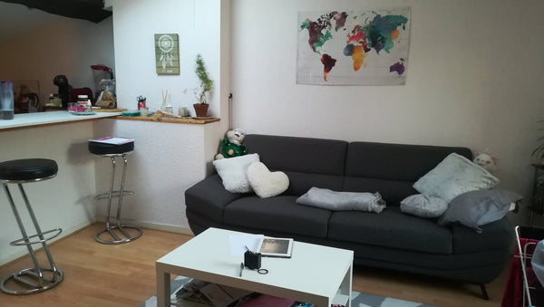 Joli appartement sous les toits, idéalement situé Place Bellecour en plein centr Lyon, France Chambre place Bellecour, plein centre de Lyon Private room in rental unit vacation rental 27310017