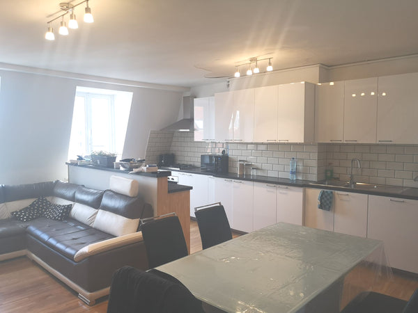 Cet apprtement est totalement rénové, d un style moderne et ayant un tas de faci  Appartement in the historical center of Brussels Private room in rental unit vacation rental 38753814
