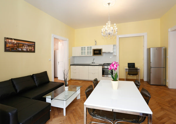 Luxusní prostorný byt. Lokalita blízko národního divadla. 6 min. chůze Old town  Prague, Czechia ApartmentPštrossova,nationalTheatre Entire rental unit vacation rental 6297788