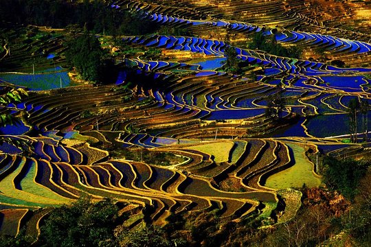 Kunming Private One Way Transfer Service to Yuanyang Rice Terrace Private Tours and Travel Guide Asia Shanghai CITY Kunming Destination Tour