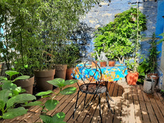 Bulle de campagne avec jardin fleuri, dans quartier vivant. Impossible de faire  Paris, France Deux pièces cosy avec jardin fleuri Entire rental unit vacation rental 5344460