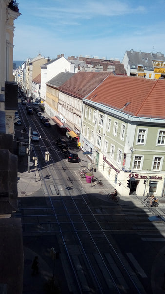 My flat is close to city center of Vienna. It is in a hip district with many fam  Private Room for 2 People. Close to city center Private room in rental unit vacation rental 20541074