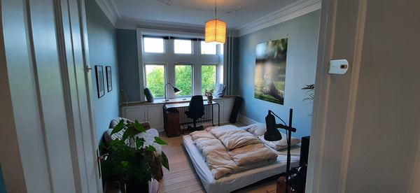 The room is located in Blaagaardsgade, a quiet pedestrian street with no traffic Copenhagen, Denmark Cozy Room in the Heart of Nørrebro Private room in rental unit vacation rental 22182833