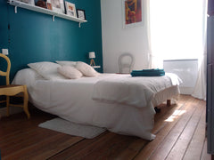 Je vous propose la location d'une chambre et sa salle de bain privative dans mon Bordeaux, France Chambre avec salle de bain , appartement de charme Private room in rental unit vacation rental 26871873
