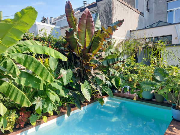 I offer a bright and spacious room with high ceilings. You have a private shower Antwerp, Belgium Tropical holiday room in the city center Room in boutique hotel vacation rental 44171976