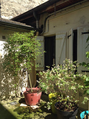 maisonnette en pierre est situé en plein cœur de la butte aux cailles,un coin co Paris, France Maisonnette   coeur Butte aux cailles Paris Entire townhouse vacation rental 19300840