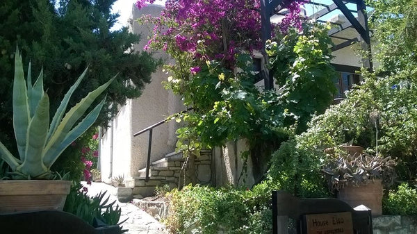 Die Doppelhaushälfte befindet<br />sich in ruhiger Lage am Dorfrand von Pitsidia Heraklion, Greece HAUS ELSA  mit Terasse und Garten in ruhiger Lage Entire townhouse vacation rental 13319918