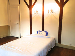 This splendid 70m2 flat in the heart of "Ile de la cite" has an estonishing view Paris, France Amazing flat near Notre Dame de Paris Entire rental unit vacation rental 13405726
