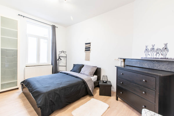L'ensemble du groupe bénéficiera d'un accès facile à tous les sites et commodité Belgium Wonderful bedroom in a house -near center Brussels Private room in townhouse vacation rental 644297529609389028