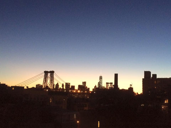 Room in Incredible Apartment with Rooftop Sky lounge + private roof terrace with New York, NY Rental unit in Brooklyn · 1 bedroom · 1 bed · 1 bath Private room in rental unit vacation rental 9576230