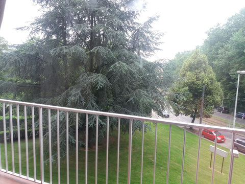 Apparemment spacieuse lumineuse et calme, deux grandes terrasses a 200m  des sup Brussels, Belgium La nature en ville Entire condo vacation rental 25955207