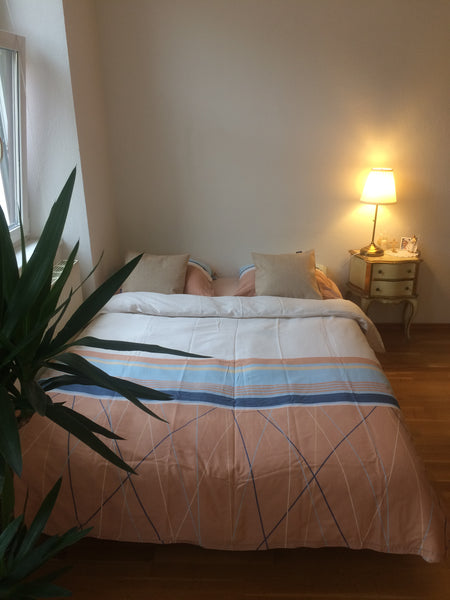 The bright room is located 3 min. by walk to the U-Bahn station Nußdorferstraße  Germany Bright room 25 min by tram to the Center Private room in rental unit vacation rental 37383193