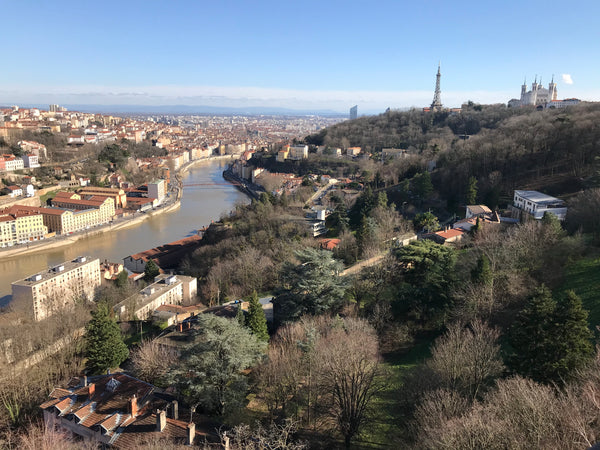 Appartement entier, vivant avec magnifique vue PANORAMA sur la courbe de la Saôn Lyon, France Appartement avec VUE Entire rental unit vacation rental 755717312401626560