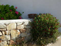 Markouli Studios are located on the west side of the settlement where the port o  MARKOULI STUDIOS 1 Entire condo vacation rental 17597025