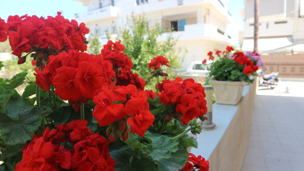 Wonderful studio near sandy beach<br /><br />Nice location just 2kilometers from Heraklion, Greece Wonderful studio near sandy beach Entire rental unit vacation rental 33122623