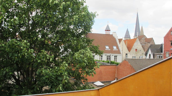 Huize Maeterlinck is een prachtig gerenoveerd appartement in hartje Gent. Het ma Ghent, Belgium Gezellige Studio in hartje Gent Entire rental unit vacation rental 34886231