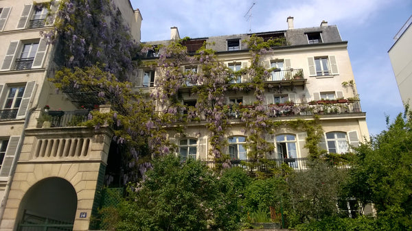 I would be glad to welcome you in this studio, organized like a boat, that open  Paris, France Room studio in heart of Latin quarter Private room in rental unit vacation rental 3641572
