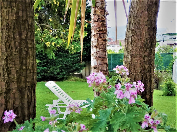 Amazing garden view house just 4.5 km away from town center and the old Venetian Perivolia, Greece Amazing garden view - 10min from center and sea Entire home vacation rental 34068188