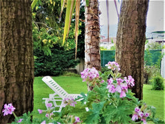 Amazing garden view house just 4.5 km away from town center and the old Venetian Perivolia, Greece Amazing garden view - 10min from center and sea Entire home vacation rental 34068188