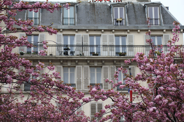 Our bright and cozy apartment with balcony in the heart of Montparnasse and step Paris, France Family-Friendly 2BR in Montparnasse Entire rental unit vacation rental 2944926
