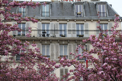 Our bright and cozy apartment with balcony in the heart of Montparnasse and step Paris, France Family-Friendly 2BR in Montparnasse Entire rental unit vacation rental 2944926