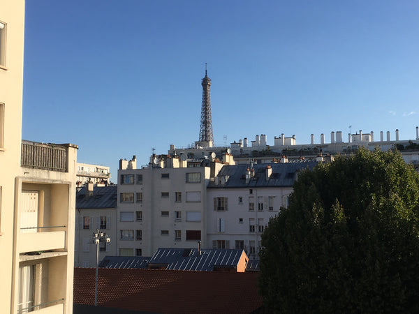 Chambre avec vue sur Tour Eiffel en plein Paris, au calme dans un grand appartem Paris, France Chambre avec vue sur Tour Eiffel en plein Paris Private room in rental unit vacation rental 19065629
