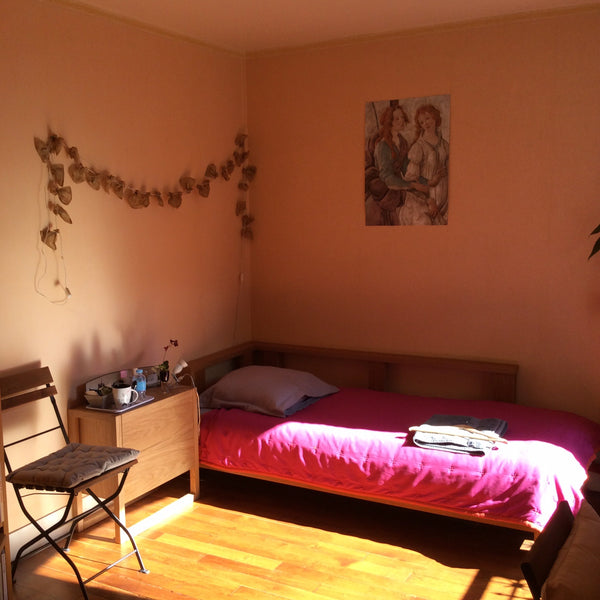 Very well located room, Paris center. <br />Bright and sunny room. <br />Many sh Paris, France Paris center, charming private room Private room in rental unit vacation rental 3891859
