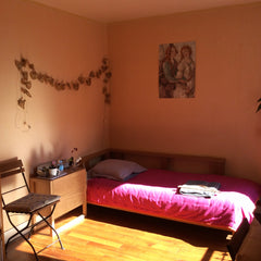 Very well located room, Paris center. <br />Bright and sunny room. <br />Many sh Paris, France Paris center, charming private room Private room in rental unit vacation rental 3891859