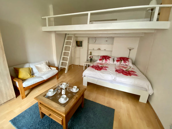 ONLY 15 MIN BY TRAM TO THE REAL HEART OF PRAGUE-Wenceslas square.FULLY EQUIPPED  Prague, Czechia CALM STUDIO BY RIVER PORT-10 MIN HISTORIC CENTER Entire condo vacation rental 37876093