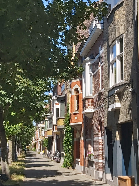 Studio op wandelafstand van het centrum op de bovenste etage (2de) van een heren Ghent, Belgium studio met dubbel bed, kitchenette, privé badkamer Entire rental unit vacation rental 37172815