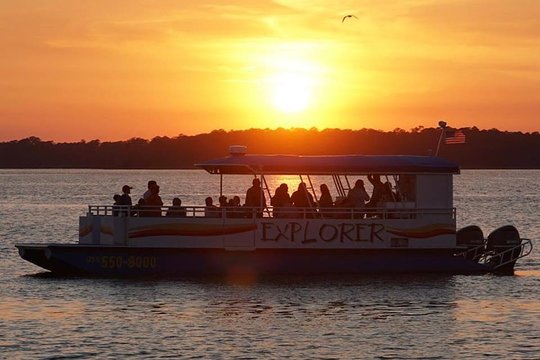 Dolphin and Nature Sunset Cruise from Orange Beach  Private Tours and Travel Guide America Chicago CITY Orange Beach Destination Tour