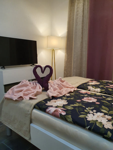 Our cozy studio apartment has room for two to four people. The apartment is loca Vienna, Austria Small but nice apartment near SCHÖNBRUNN Entire rental unit vacation rental 2927983