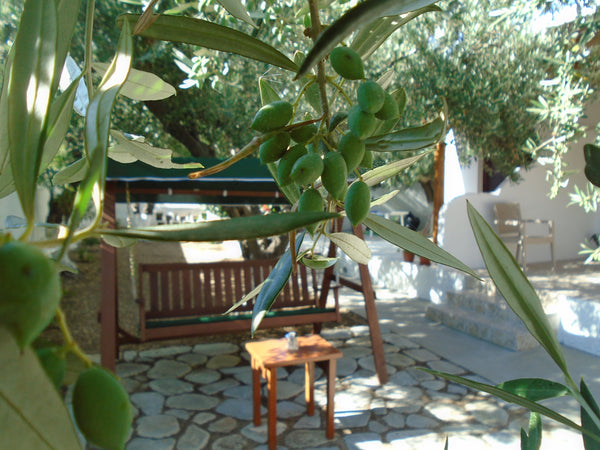 The apartments are located in Alinda, the ideal place to spend your holiday in L Greece ELEONAS Apartments 5 Entire rental unit vacation rental 24675614