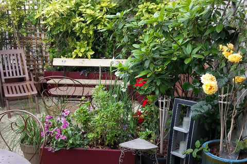 Appartement « non fumeurs » de 46 m2, très clair donnant sur une belle terrasse  Paris, France Un coin de verdure en plein Paris Private room in rental unit vacation rental 20317971