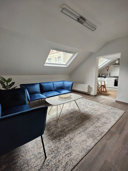 Elegant and cosy 90m2 appartement just renovated, situated in the heart of Ixell Brussels, Belgium Elegant and cosy appartement newly renovated Entire rental unit vacation rental 643185807311874702