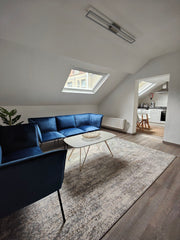 Elegant and cosy 90m2 appartement just renovated, situated in the heart of Ixell Brussels, Belgium Elegant and cosy appartement newly renovated Entire rental unit vacation rental 643185807311874702