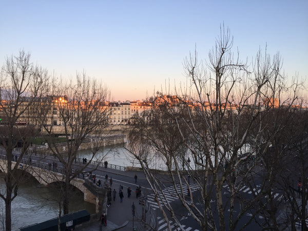 Charmant appartement au coeur de Paris face à la Seine et à la cathédrale de Not Paris, France Superbe appartement  de 52 m2 au bords de la Seine Entire rental unit vacation rental 22767035