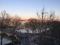 Charmant appartement au coeur de Paris face à la Seine et à la cathédrale de Not Paris, France Superbe appartement  de 52 m2 au bords de la Seine Entire rental unit vacation rental 22767035