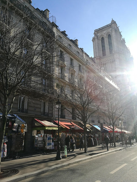 The proposed bedroom is located in the historical island (Ile de la Cité) in the Paris, France Bedroom next Notre Dame in a newly renovated flat Private room in rental unit vacation rental 23105746