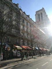 The proposed bedroom is located in the historical island (Ile de la Cité) in the Paris, France Bedroom next Notre Dame in a newly renovated flat Private room in rental unit vacation rental 23105746