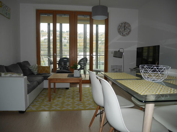 Appartement T1 de 42m2, situé au cœur du quartier confluence, presqu'île Lyon 2. Lyon, France Appartement 42m2 Lyon 2, quartier Confluence Entire rental unit vacation rental 22057304